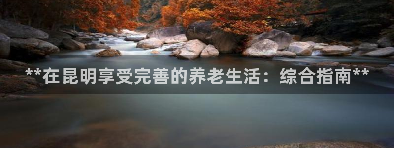 韦德1946手机