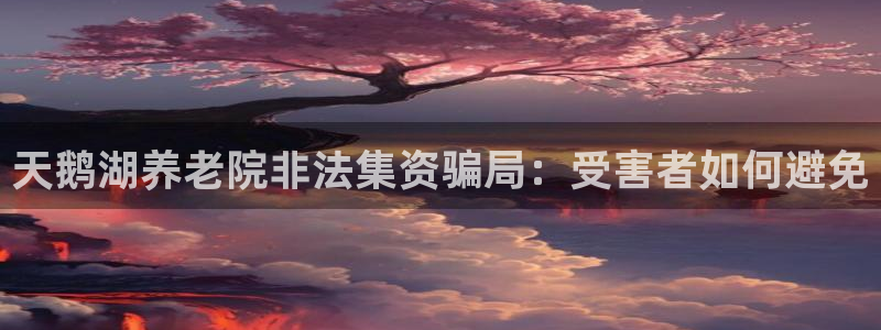 韦德是哪个