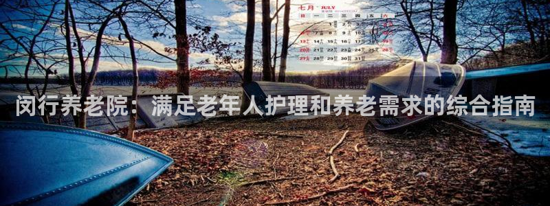 韦德网址是多少