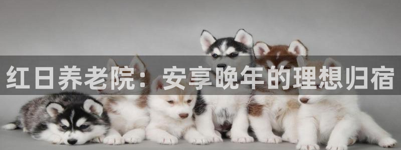 1946韦德找回密码