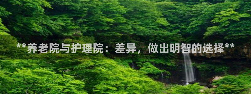 韦德观战总决赛G3