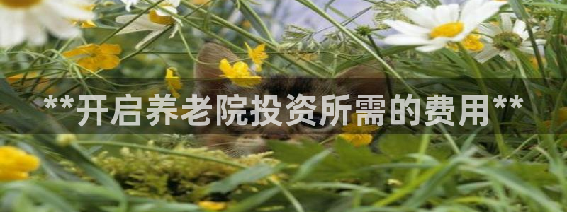 韦德1946