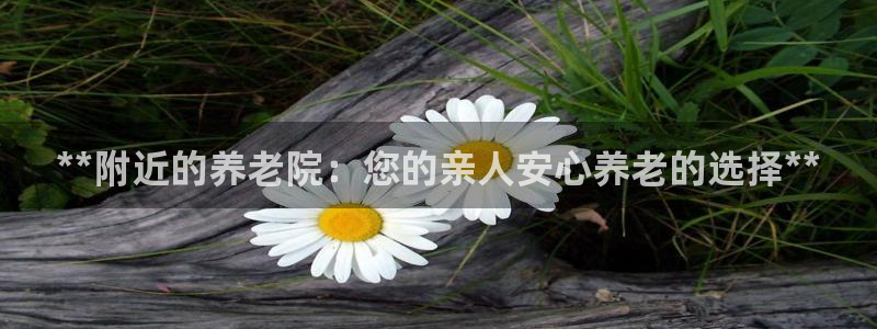 1946韦德游戏