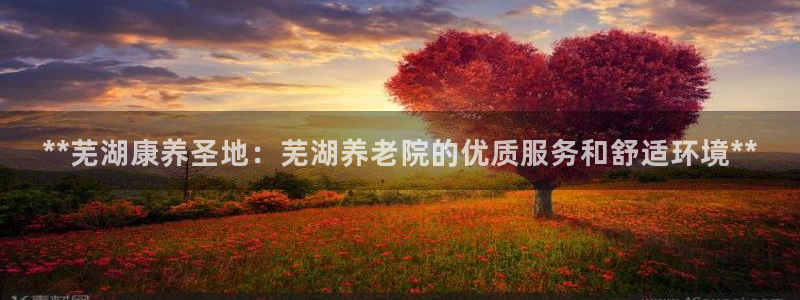 韦德1567