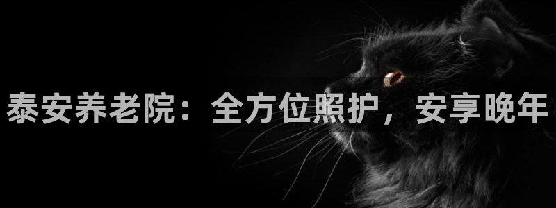 韦德游戏网址