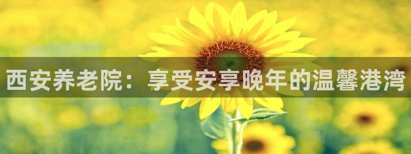 韦德属于什么