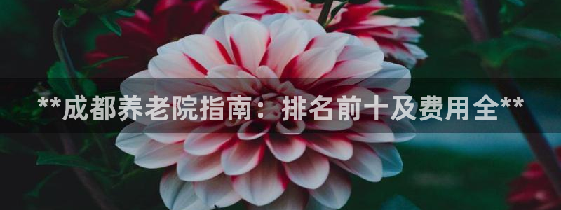 韦德1946手机