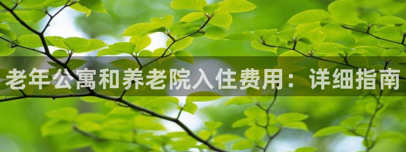 韦德bietview官网