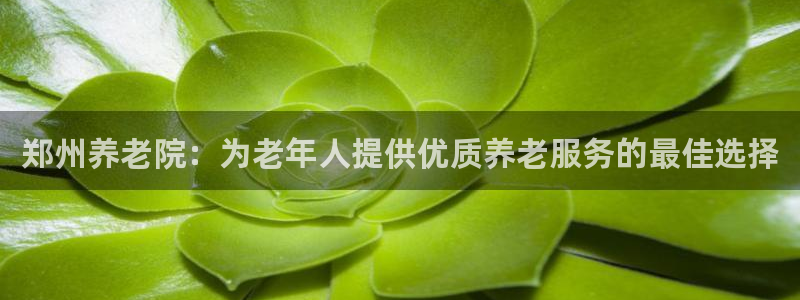 韦德1946下载