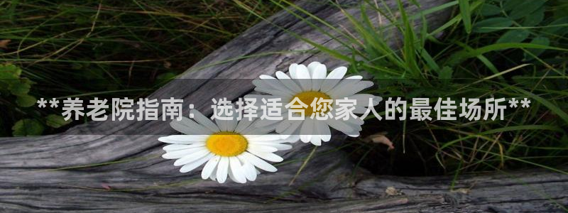 韦德1946娱乐