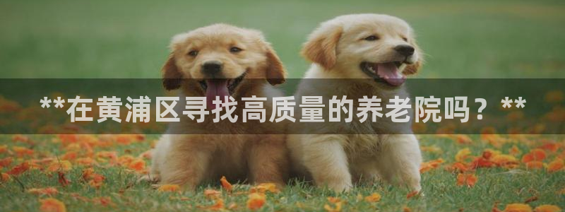 韦德惨案