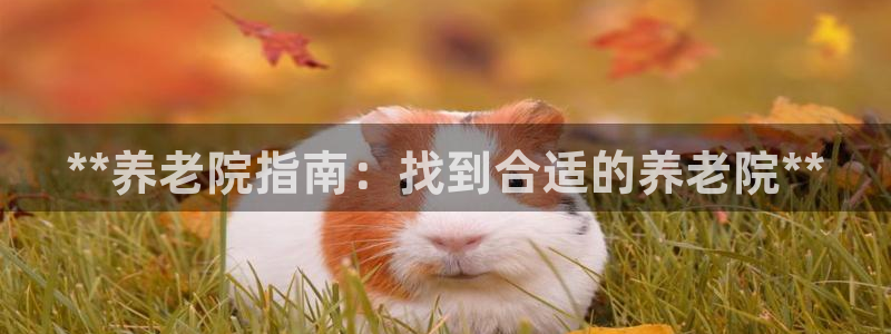韦德2016