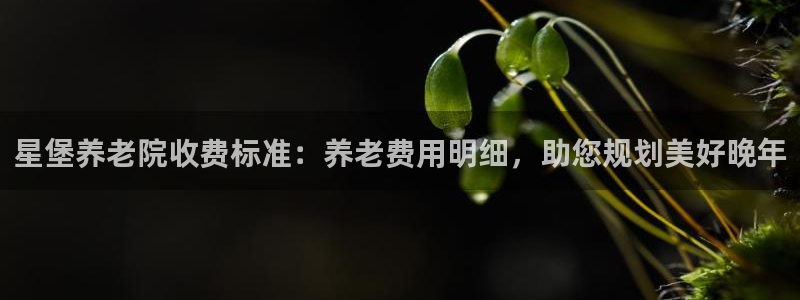 韦德1946官方
