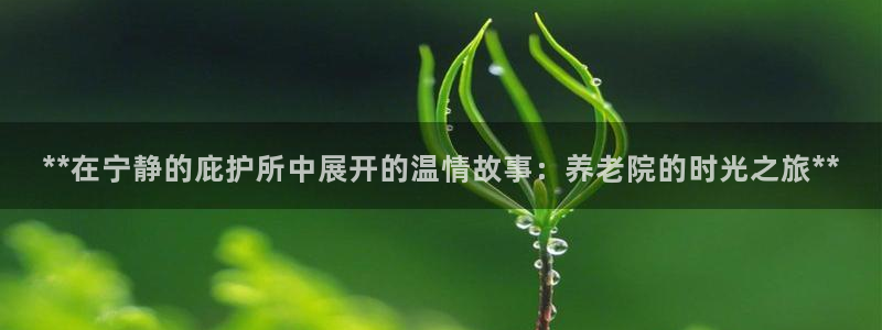 韦德2016