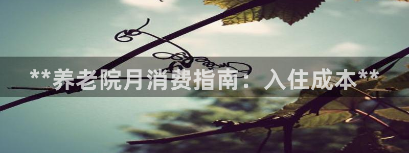 韦德 网站