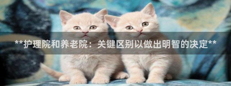 1946韦德网站