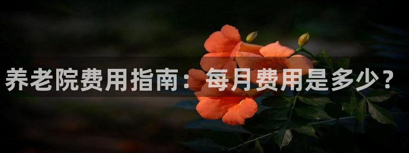 韦德游戏注册有风险吗