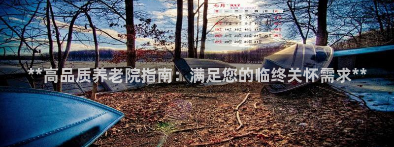 韦德 官网
