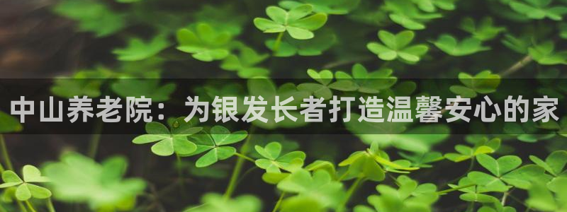 韦德的游戏