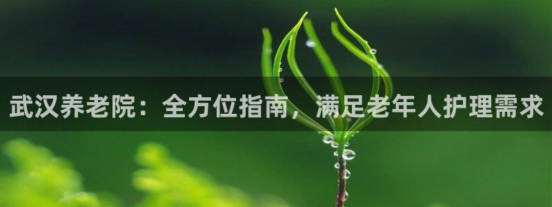 韦德游戏大厅