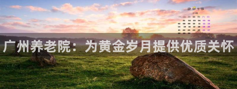 韦德官方网址大全