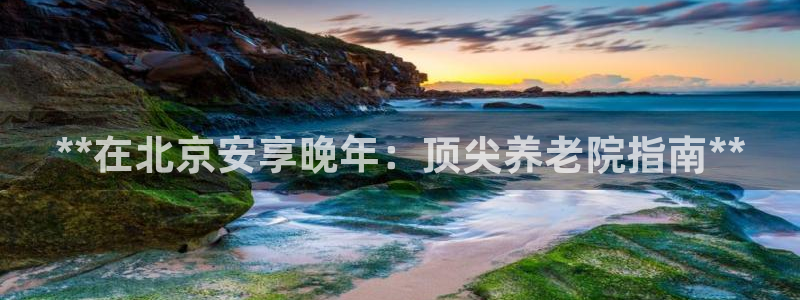 韦德1946官网最新版