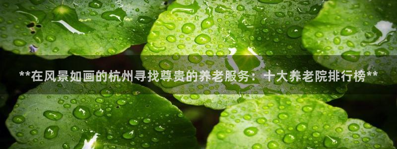 韦德2016
