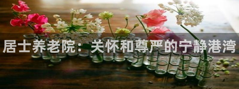 1946 韦德