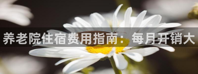韦德的地位