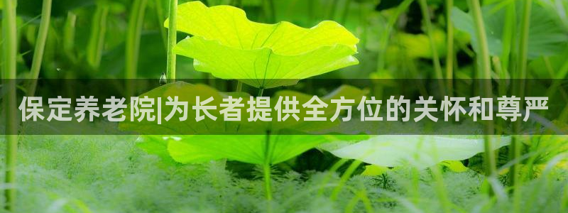 韦德bietview官网
