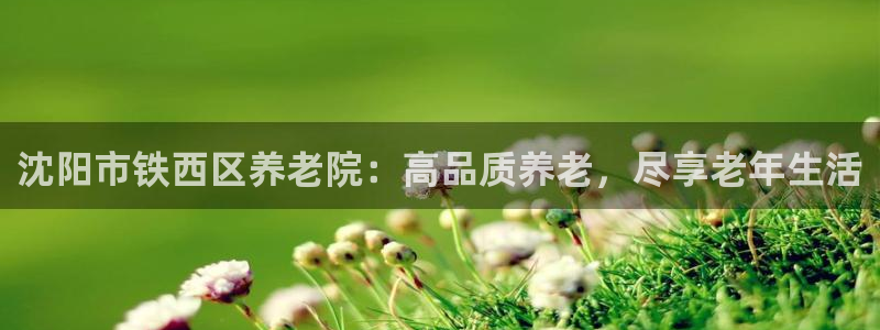 韦德1946中文官网