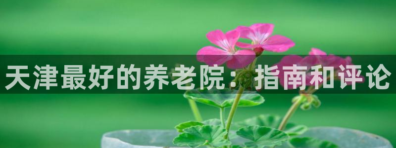 韦德国际体育