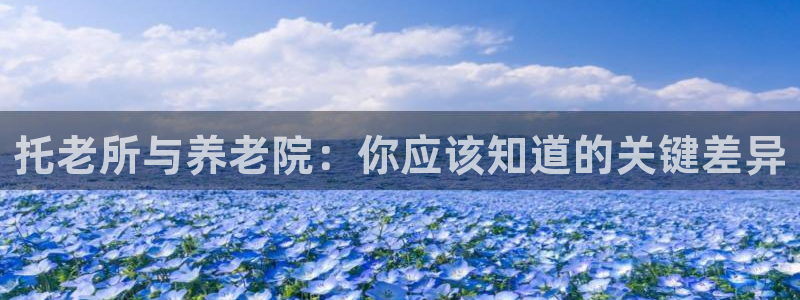 韦德官方网址大全