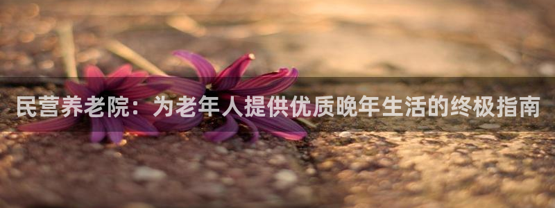 韦德1946bet