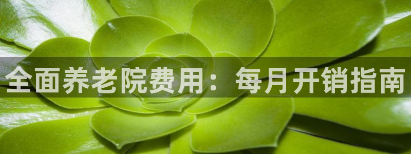 韦德1946体育