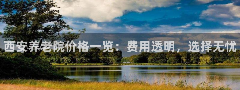 韦德网站是多少