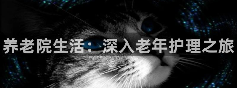 韦德是哪一届
