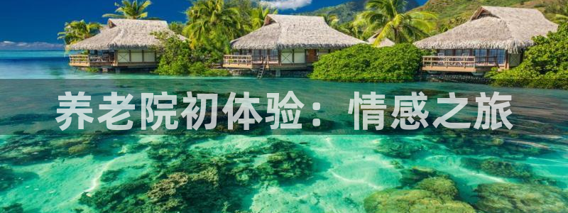 韦德官网注册推荐网站是什么