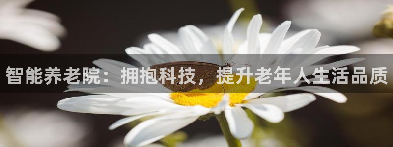 韦德游戏大厅