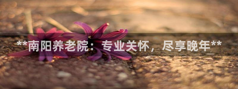 韦德 1946