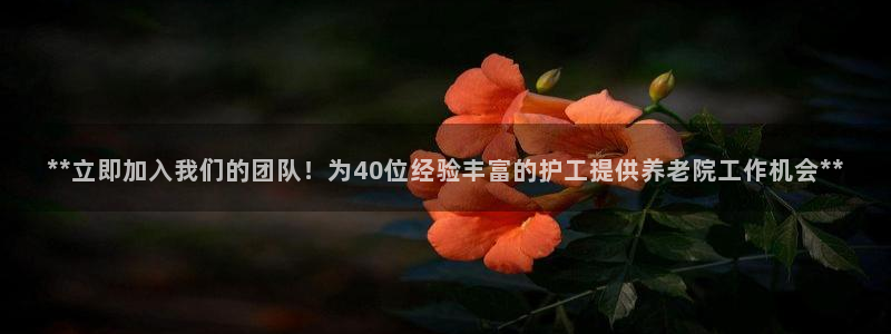 韦德2016