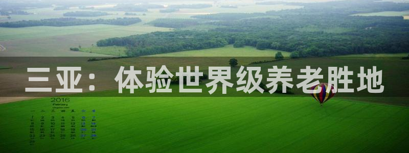韦德1946手机