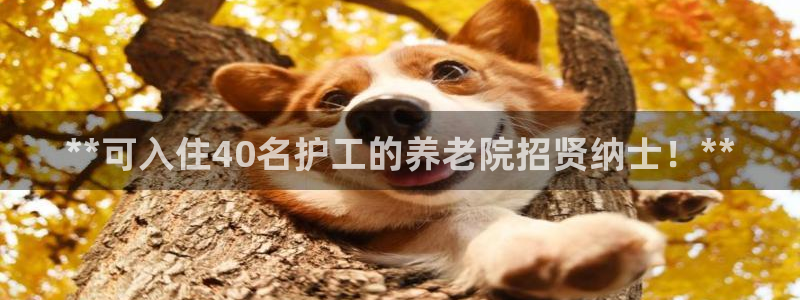 韦德1946娱乐