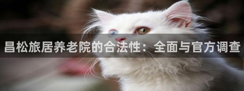 韦德事件