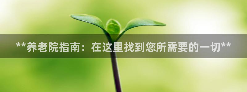 韦德网址