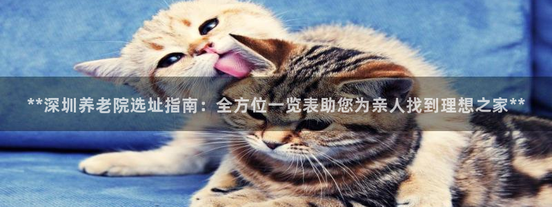 1946韦德游戏