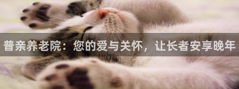 韦德游戏注册需要什么