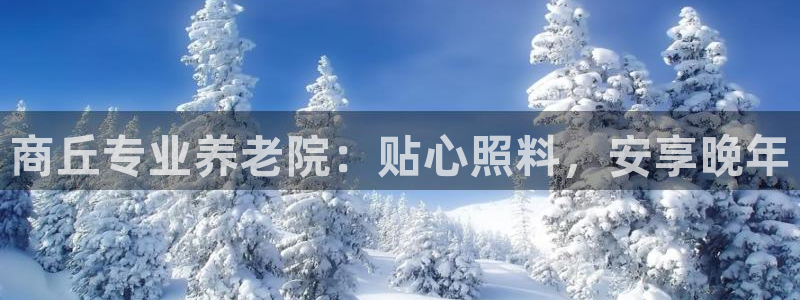 韦德是哪个