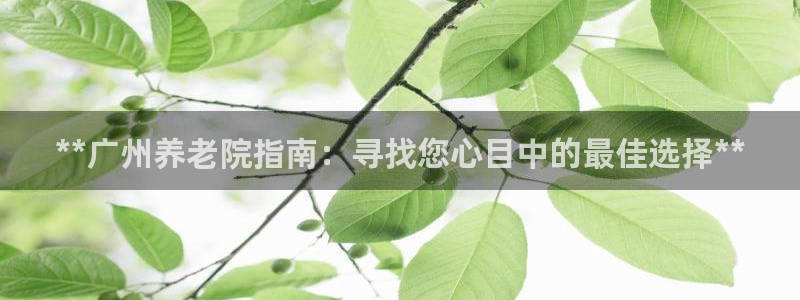 韦德官网注册推荐网站是什么