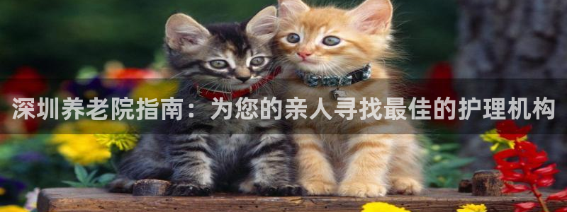 韦德网址